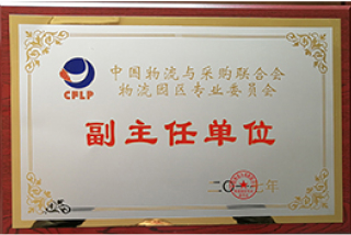 89132401171220549665